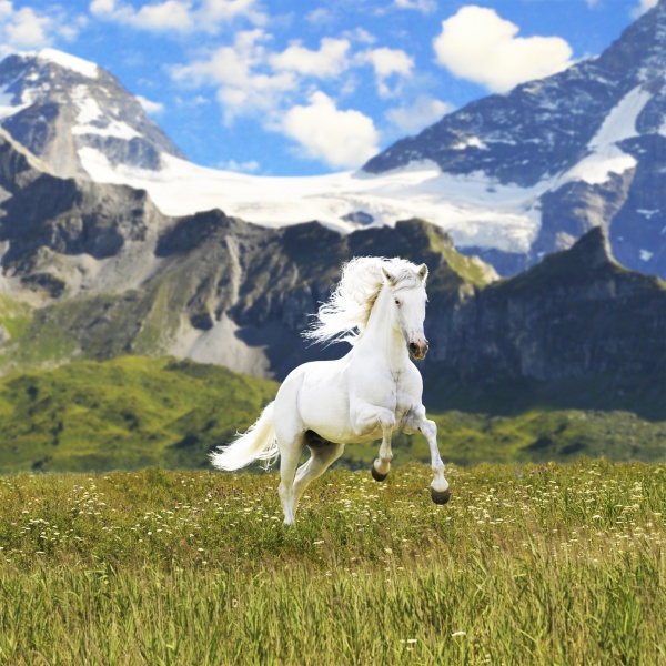 Заголовок слайда 5 внутри раздела